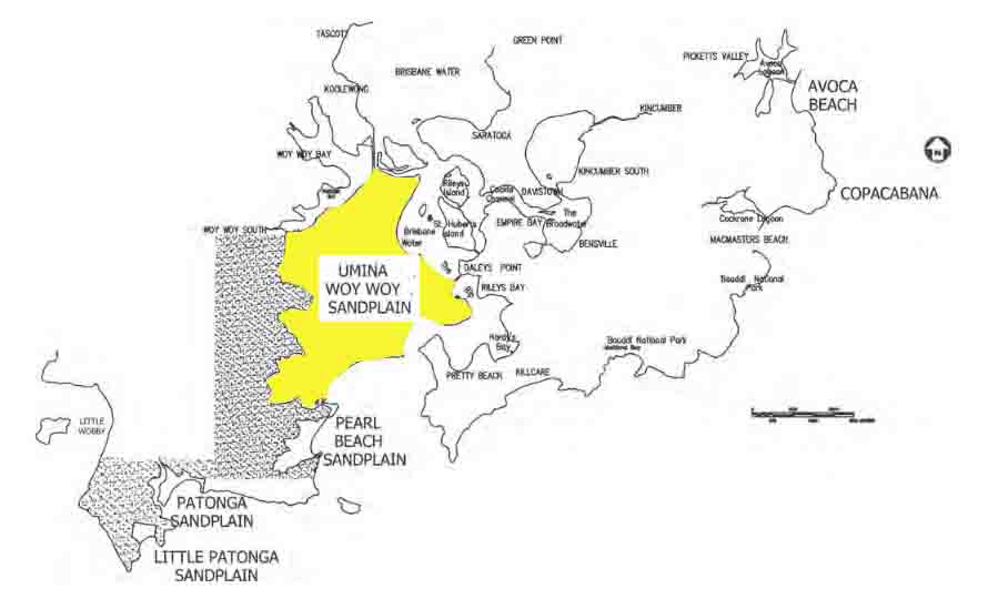 Umina Woy-Woy Sandplain - source Payne et al Coastal Sandplain Vegetation at Brisbane Water